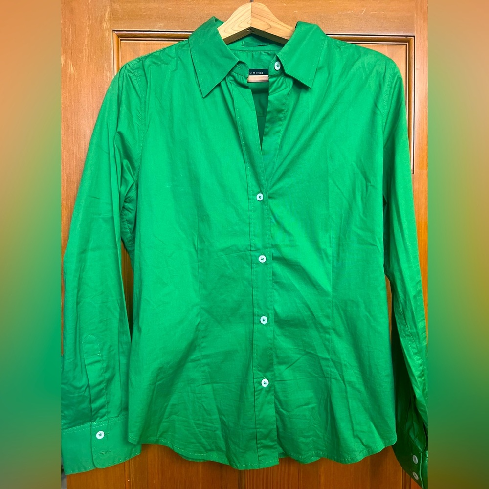 The Limited Long Sleeve Button Down Dress Shirt